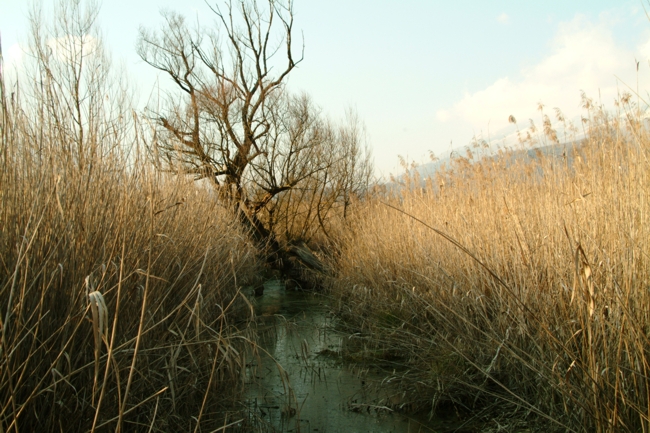 Riserva Regionale Lago di Posta Fibreno